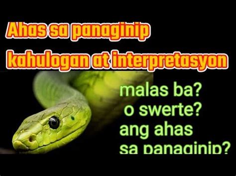 Mga Ahas sa Panaginip: Kahulugan, Interpretasyon, At .